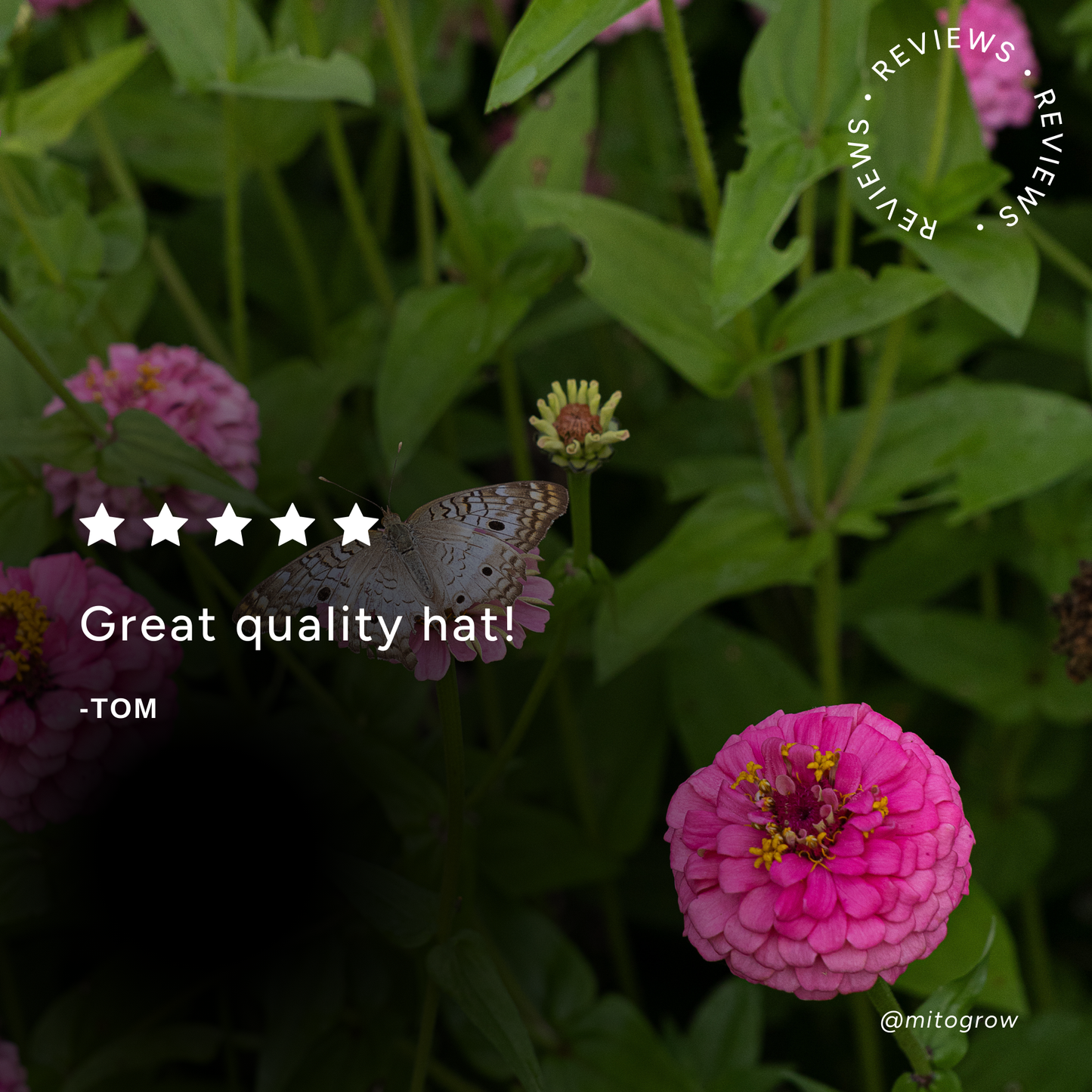 Plant Survivors Club Hat