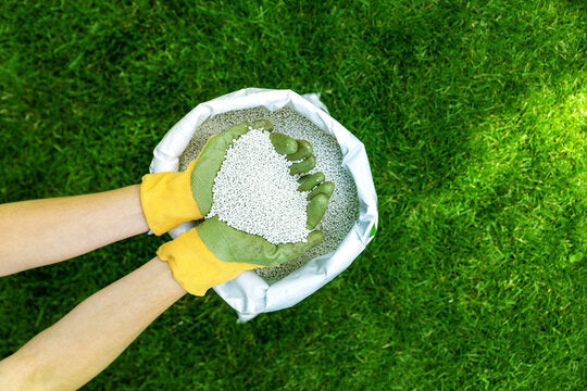 Grow healthier plants: why fertilizer isn't enough