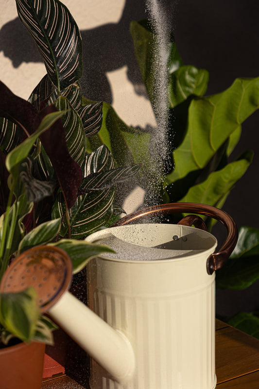 The Hidden Advantage of IBA