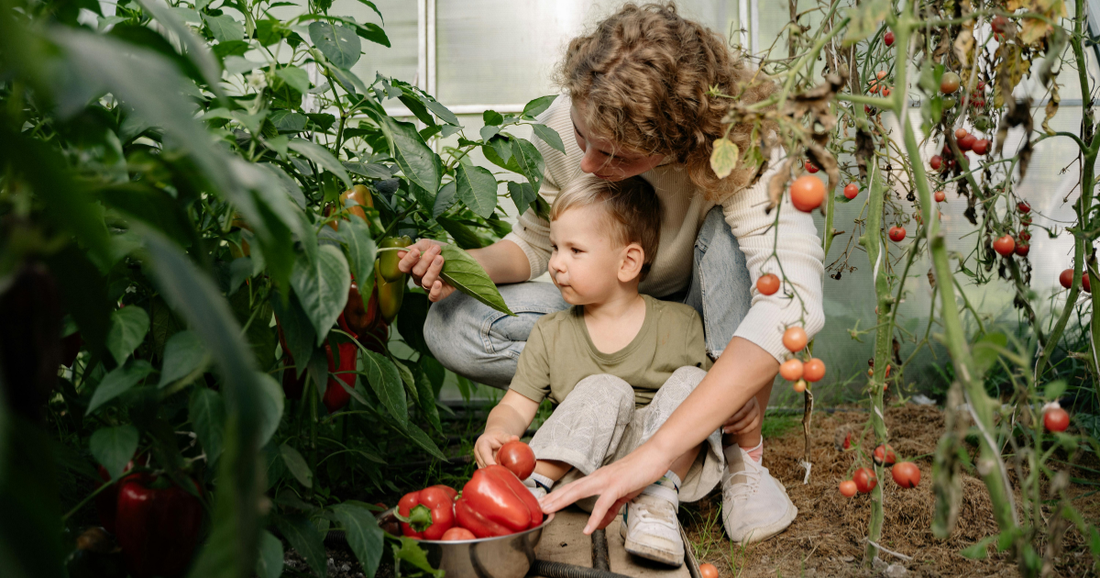 Child and mother tending to tomato and peppers in their garden