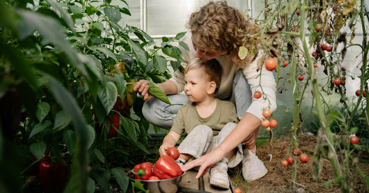 Child and mother tending to tomato and peppers in their garden