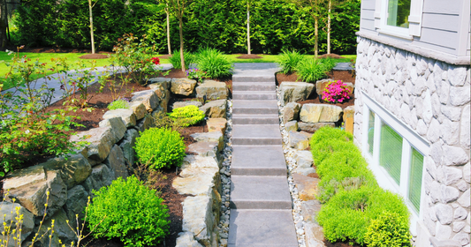 Your Plant Nutrition Checklist for Healthier Plants