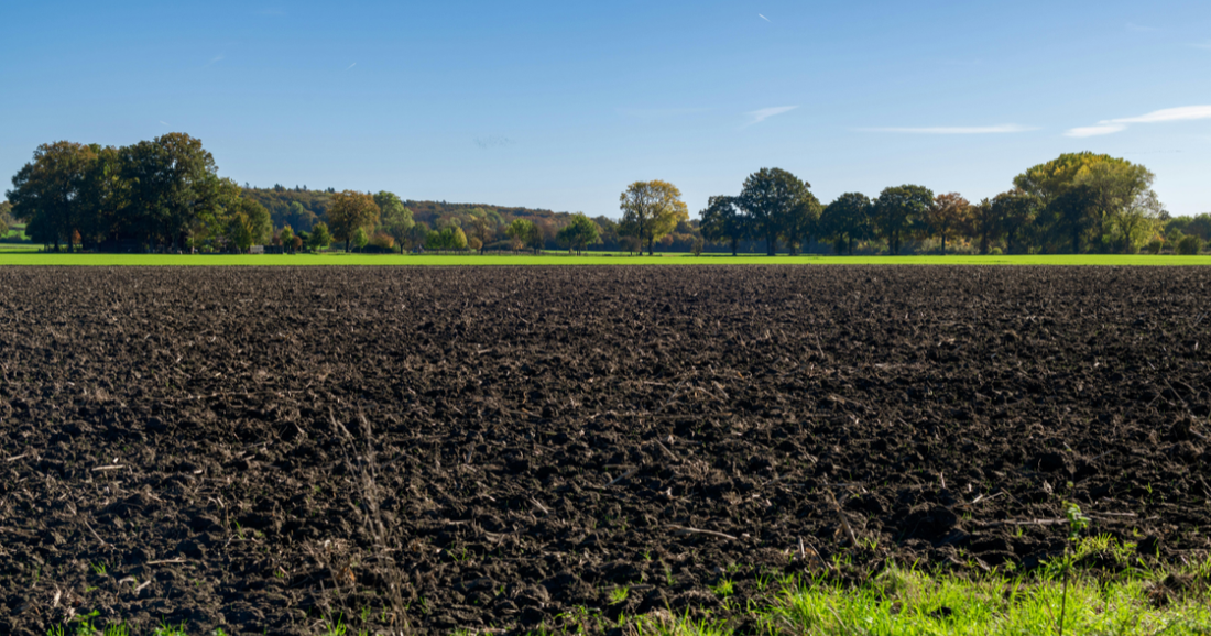 Role of Microbes in Soil Health