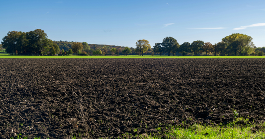Role of Microbes in Soil Health