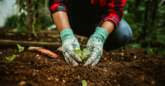 Why Soil Quality Impacts Growth: A Gardener's Guide