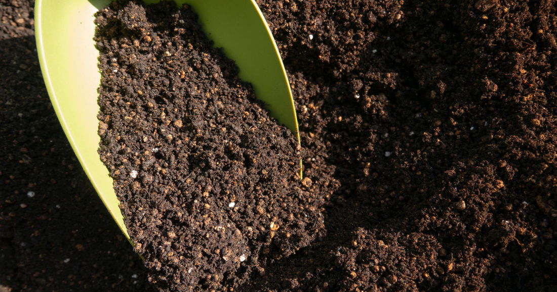 Soil scooped up with a shovel.