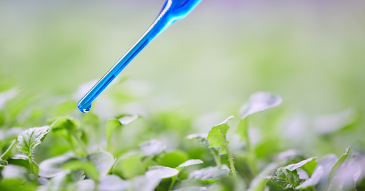 Plants and humans share more biology than you think