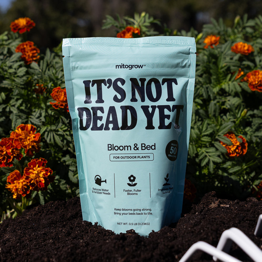 Why Fertilizer Alone Isn’t the Fix for Struggling Plants