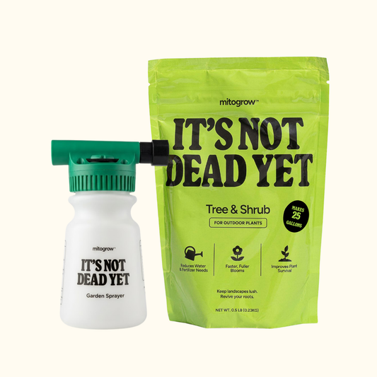 T&S Kit