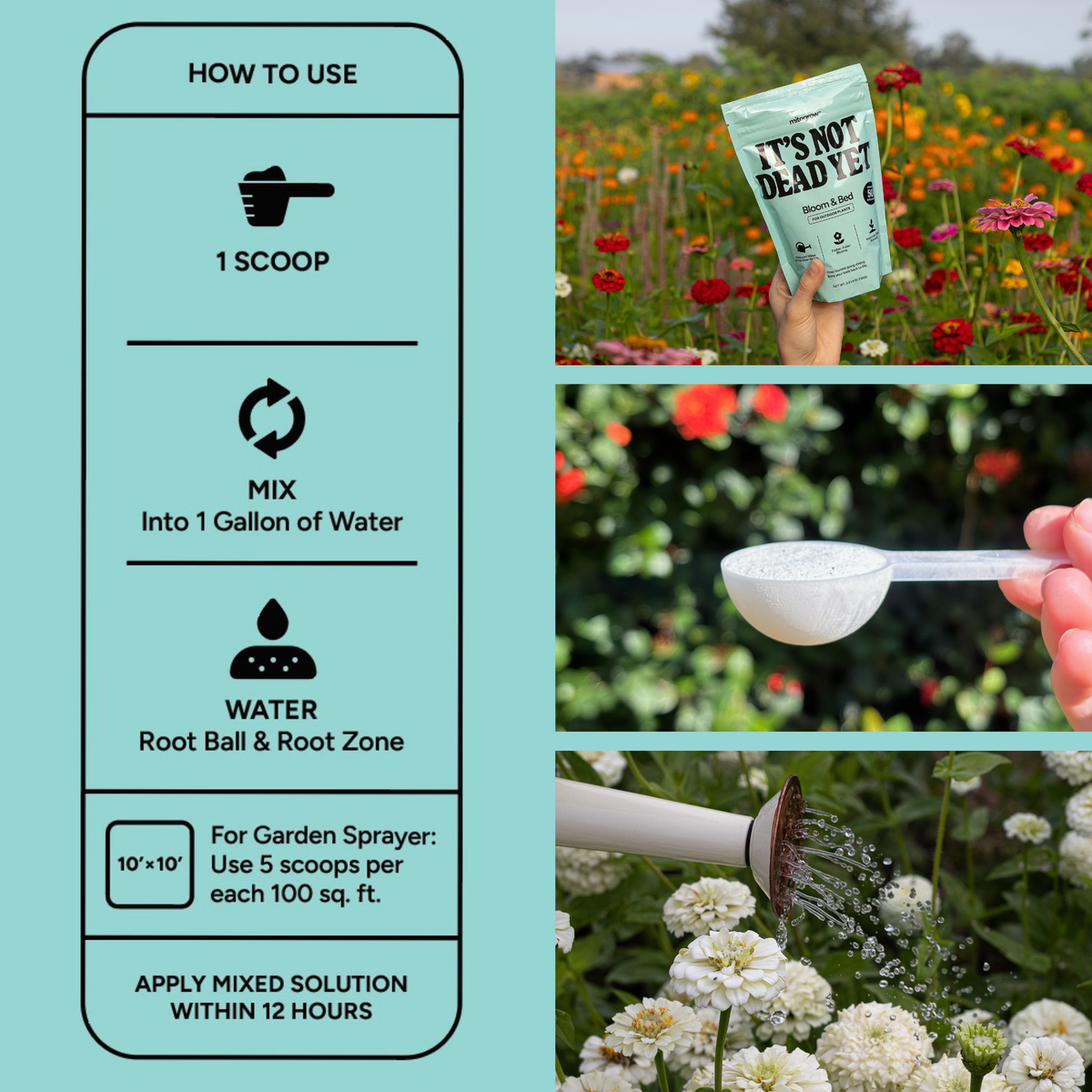 Container & Bed Bundle