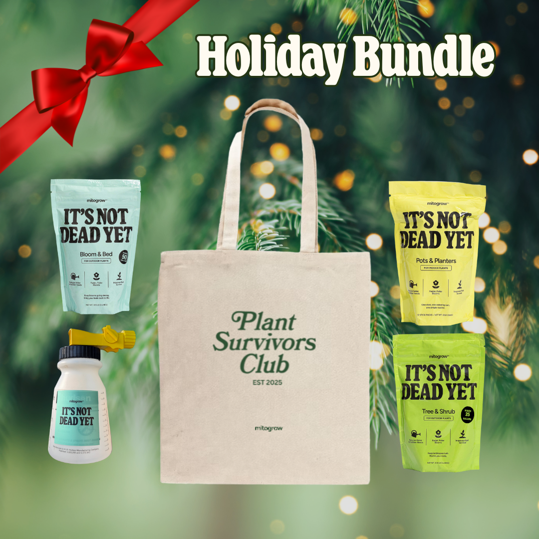 Holiday Growth Bundle
