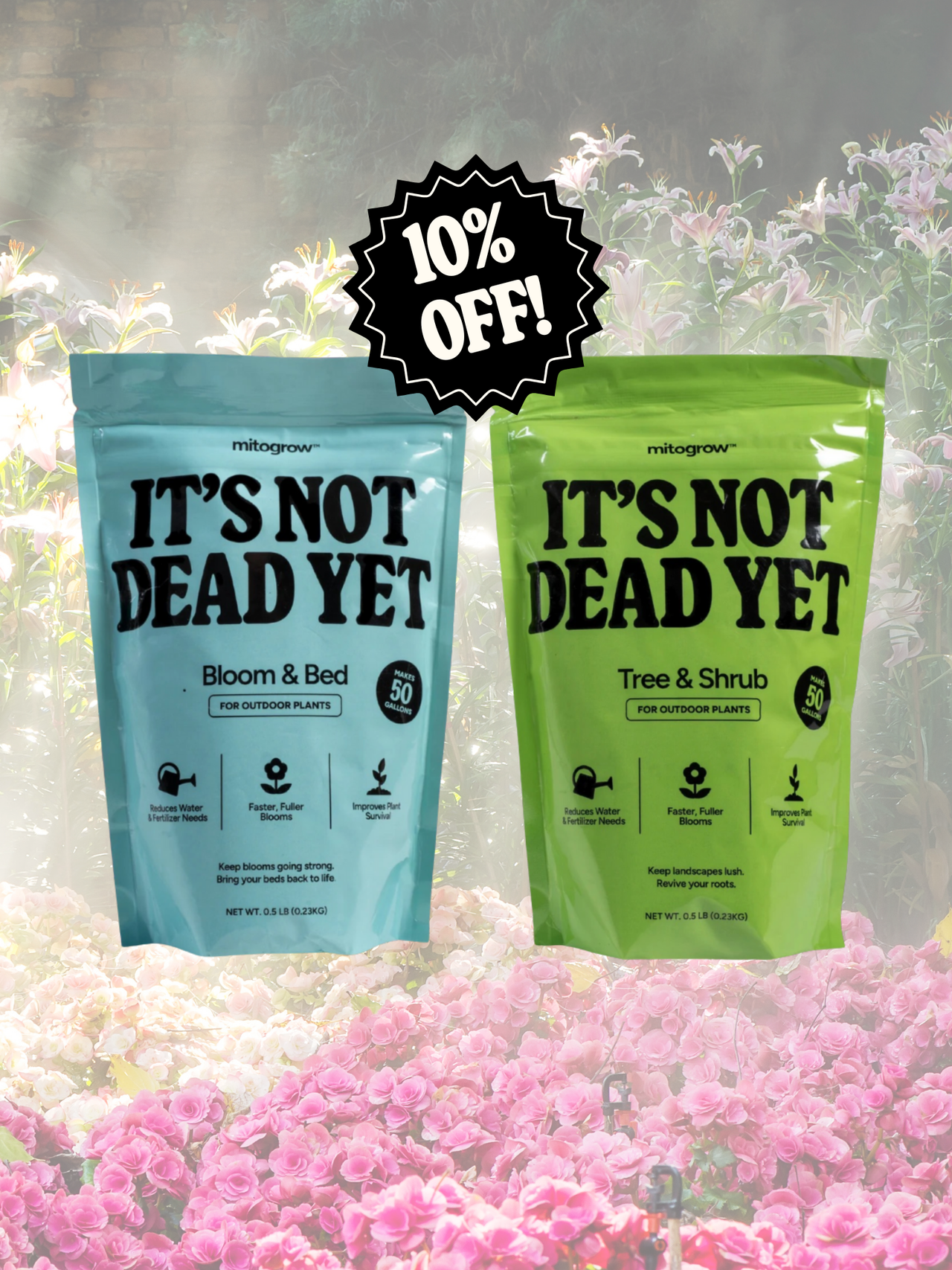 Outdoor Bundle