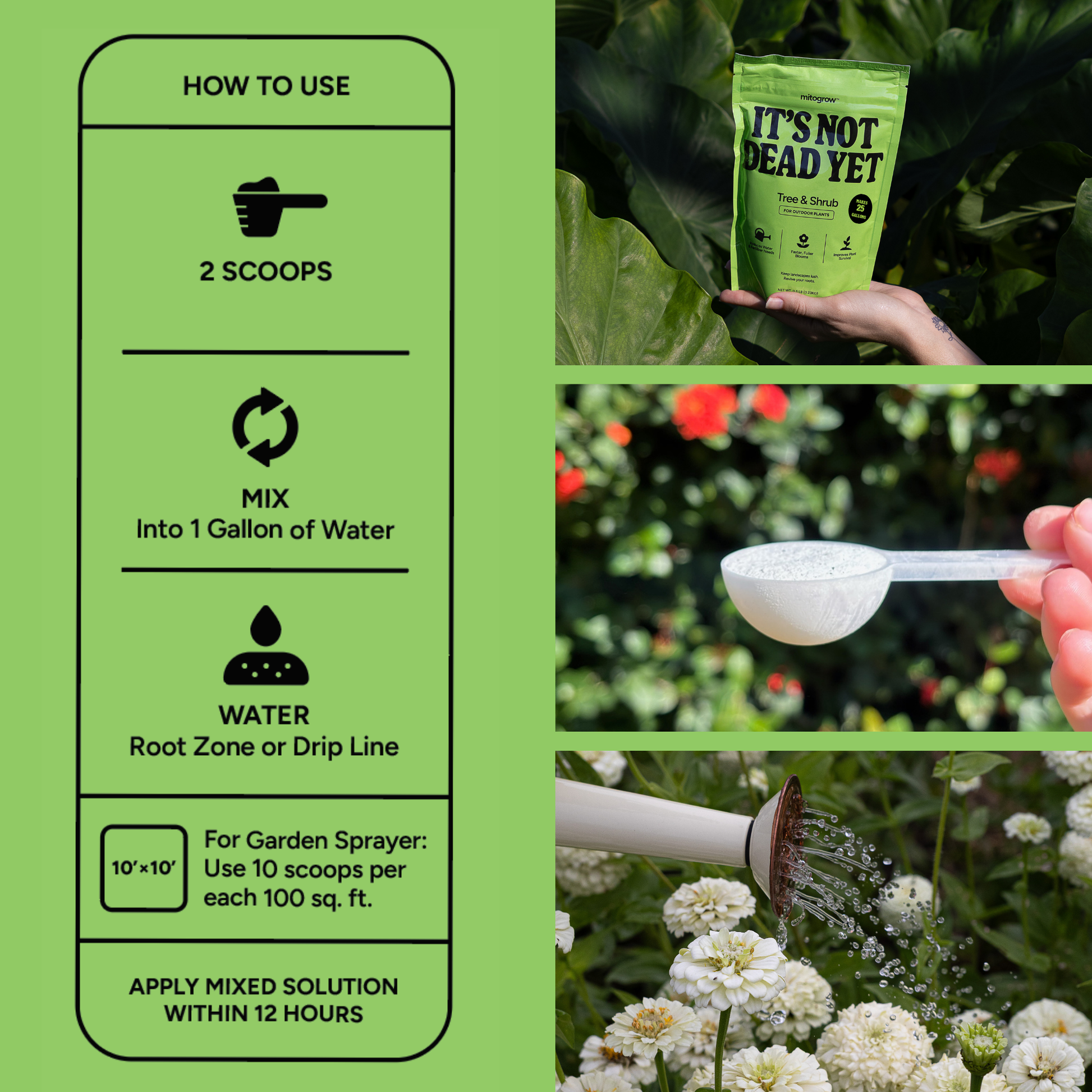 Tree & Shrub – MitoGrow