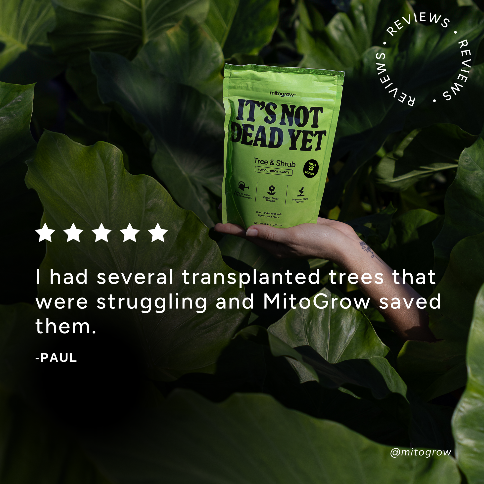 Tree & Shrub – MitoGrow