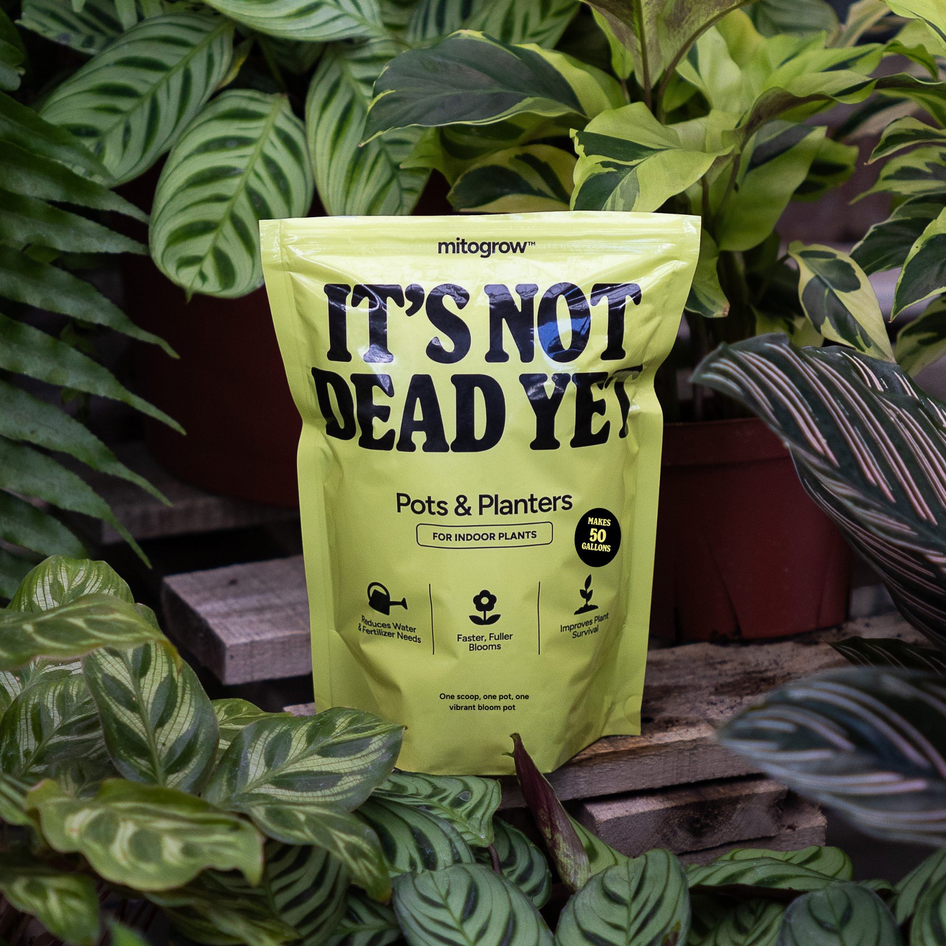 Mitogrow Pots & Planters Bio-Stimulant