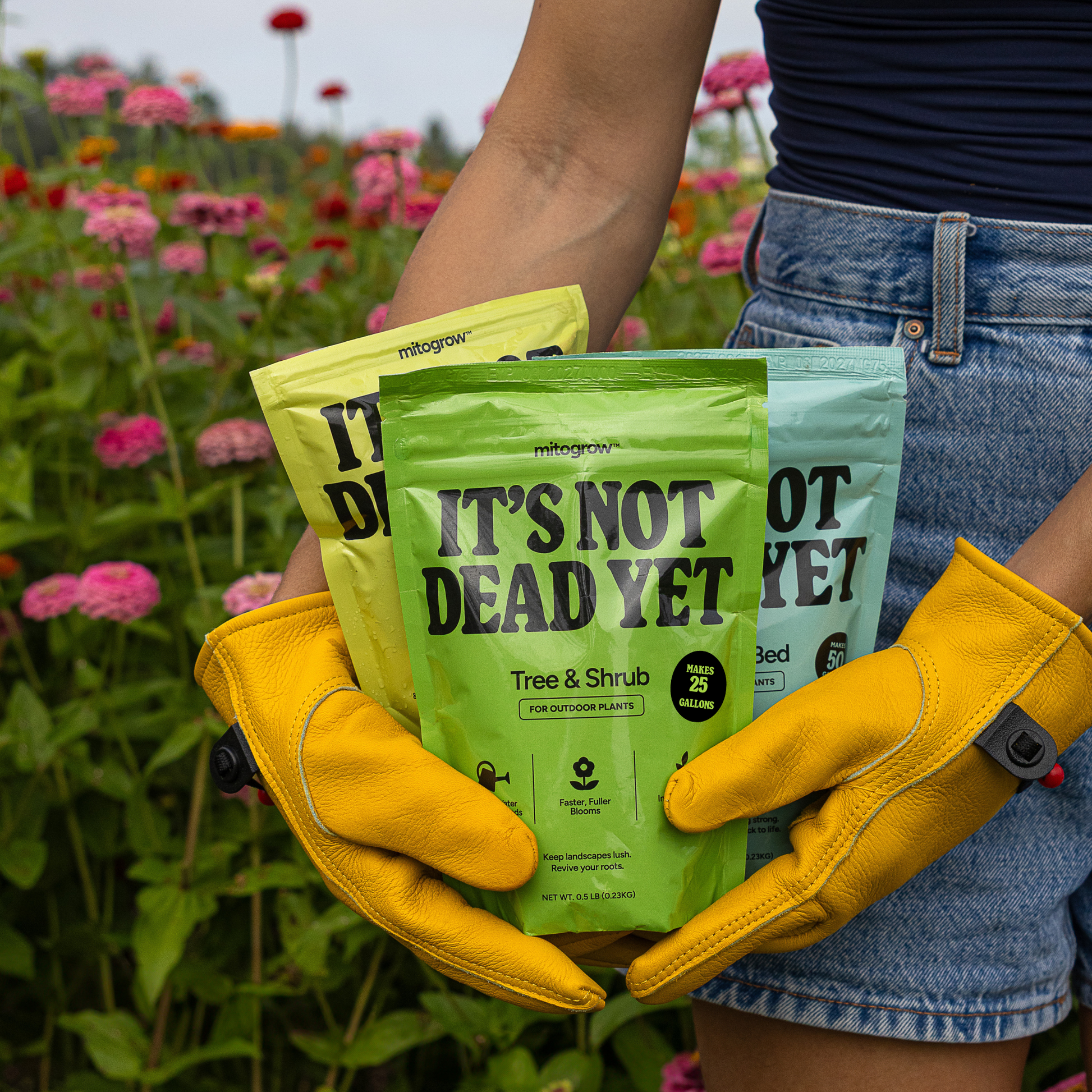 using dead plants as fertilizer Garden Bundle