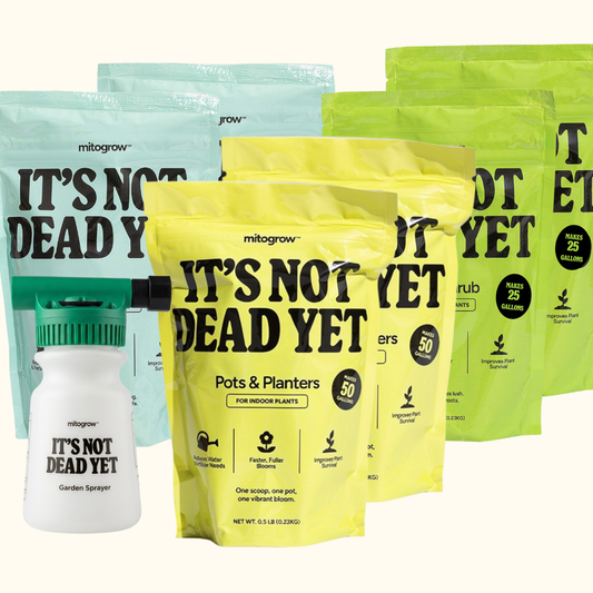 Green Thumb Bundle