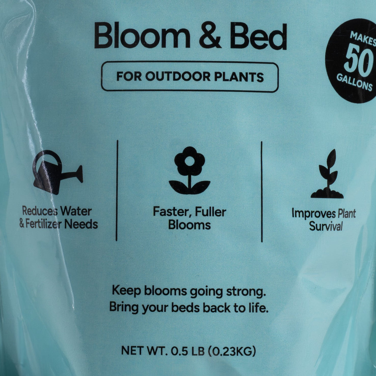 Bloom & Bed