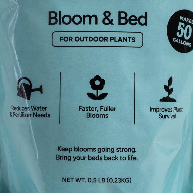 Bloom & Bed