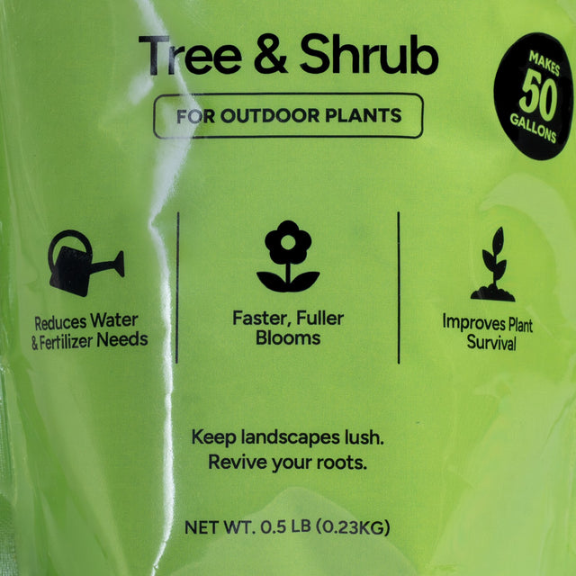 Tree & Shrub