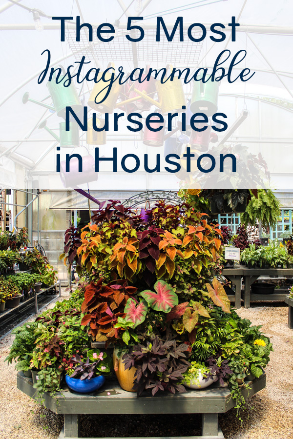 Instagrammable Nurseries in Houston