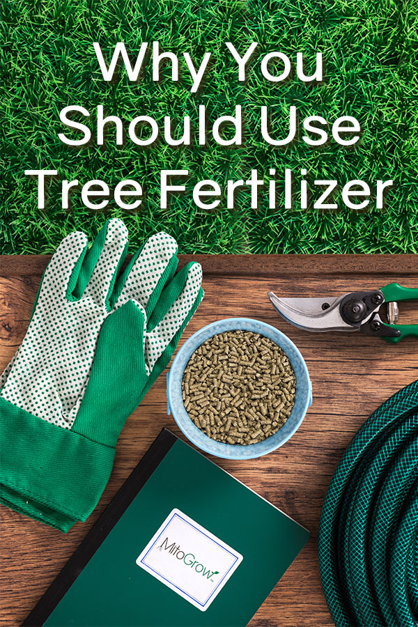 Click here to learn what NPK is all about and why you should be using tree fertilizer (and fertilizer in general).